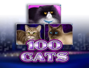 100 Cats