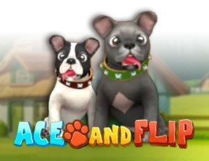 Ace and Flip