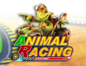 Animal Racing
