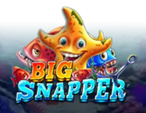 Big Snapper