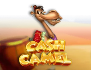 Cash Camel