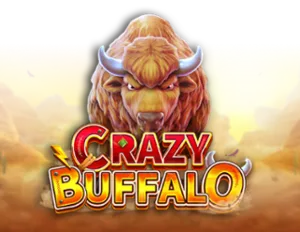 Crazy Buffalo