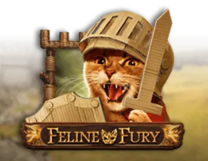 Feline Fury