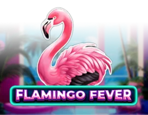 Flamingo Fever