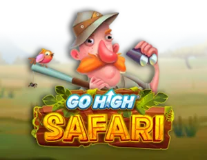 Go High Safari