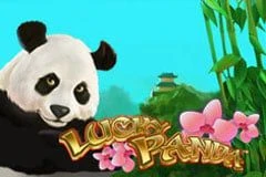 Lucky Panda
