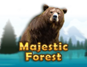 Majestic Forest