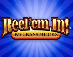 Reeel Em In