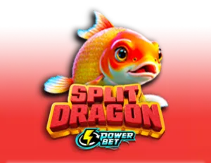 Split Dragon Power Bet