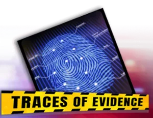 Traces of Evidence