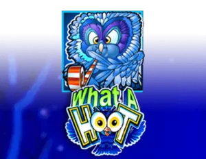 What a Hoot