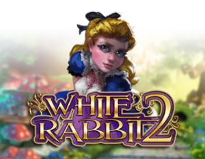 White Rabbit 2