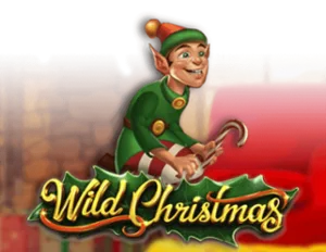 Wild Christmas