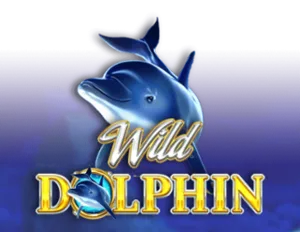 Wild Dolphin