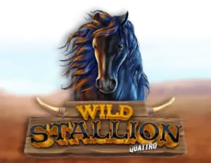 Wild Stallion