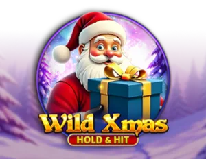 Wild Xmas Hold & Hit