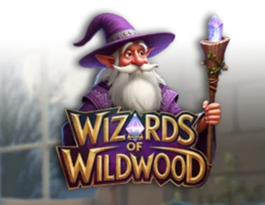 Wizards of Wild Wood